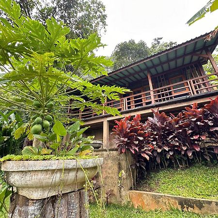 Sang Tirta Resort Penebel Dış mekan fotoğraf